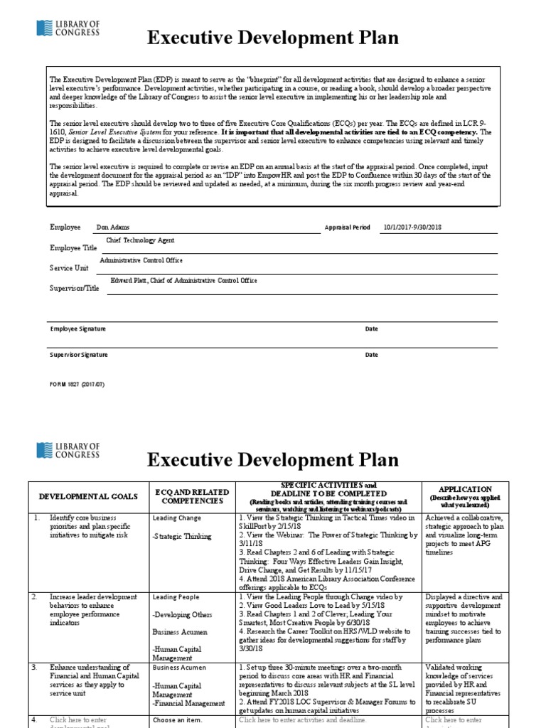 SAMPLE Executive Development Plan | PDF | Cognitive Science | Business
