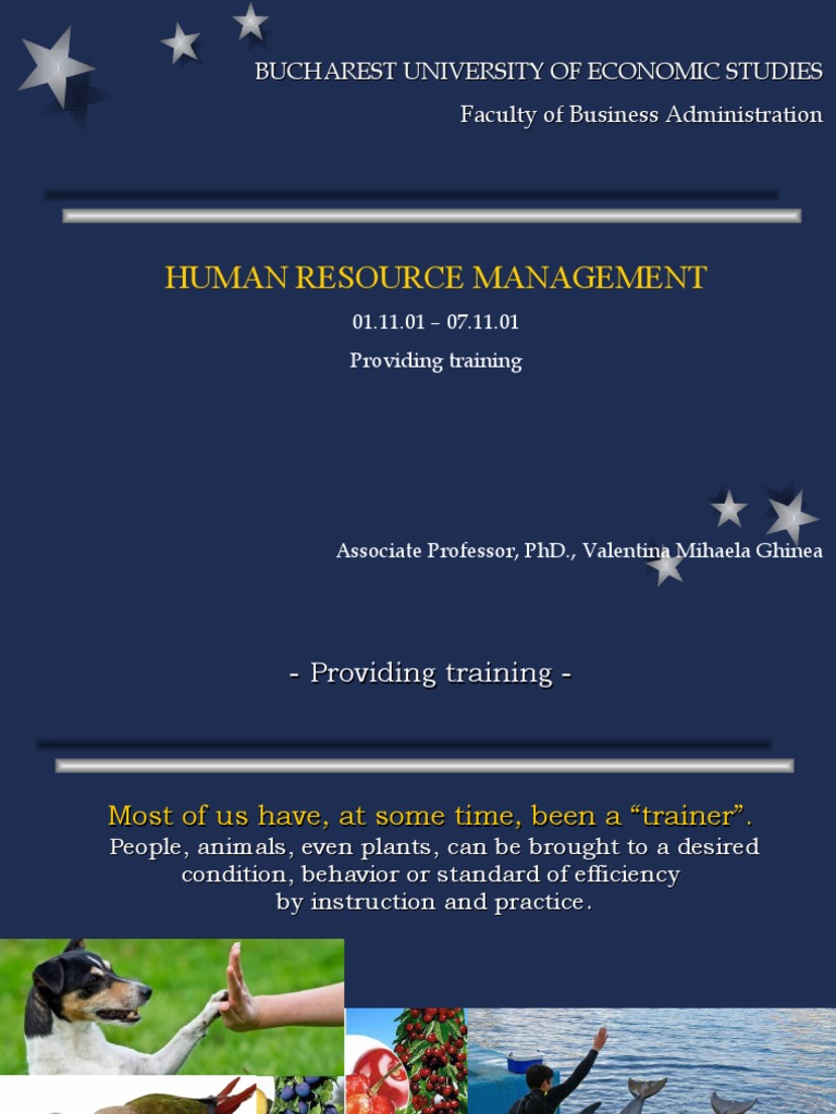 Effective Human Resource Training Techniques | PDF | Mentorship ...