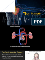 C12 Heart