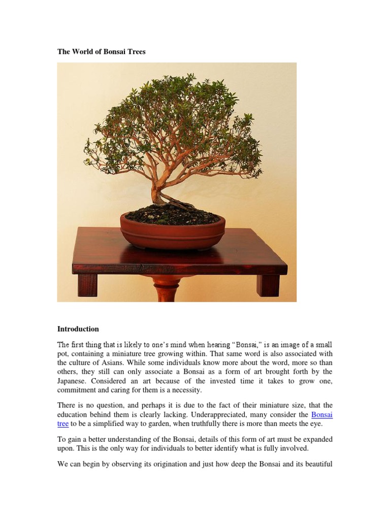 Bonsai Inspirations 1 By Harry Harrington - Stone Lantern