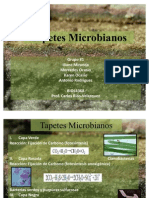 Tapetes Microbianos