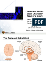 Classroom Slides:: Brain Chemistry Teacher's Guide