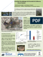 Póster Congreso Herpetológica 2010 Paz Leiza Et Al.