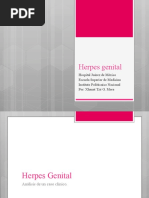 Download Herpes Genital by Xhanat Mora SN55740221 doc pdf