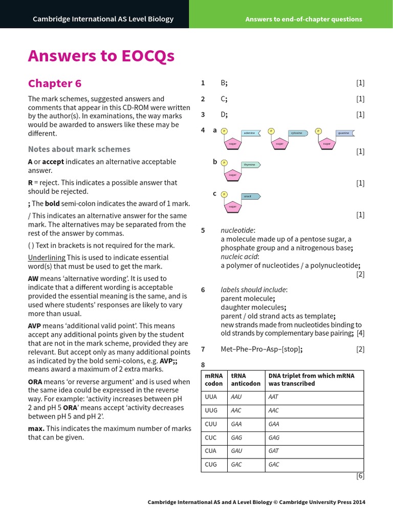 Answers To Eocqs: Notes About Mark Schemes | PDF | Dna | Rna