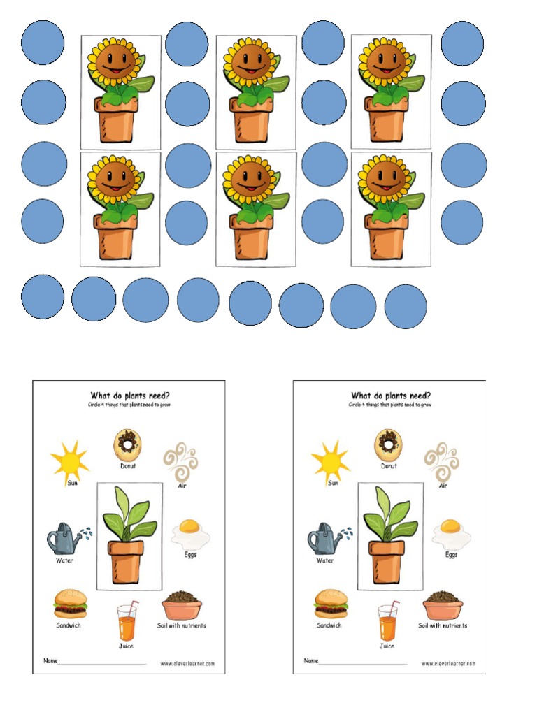 What Do Plants Need Activity For Kids PDF
