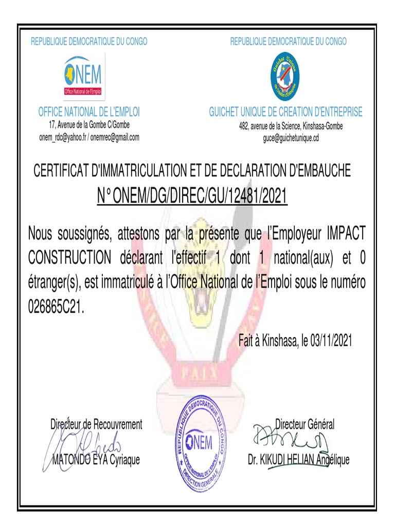 Onem Ic | PDF
