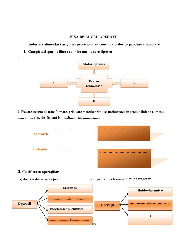 Fisa de Lucru Operatii | PDF