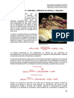 2 Carbohidratos = Glúcidos= Hidratos de carbono = Azúcares