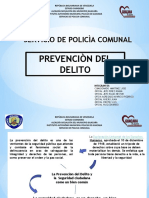 Prevencion Del Delito-Araguita.1