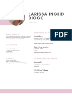 Currículo Larissa