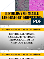 Week 3 - Muscles Lab