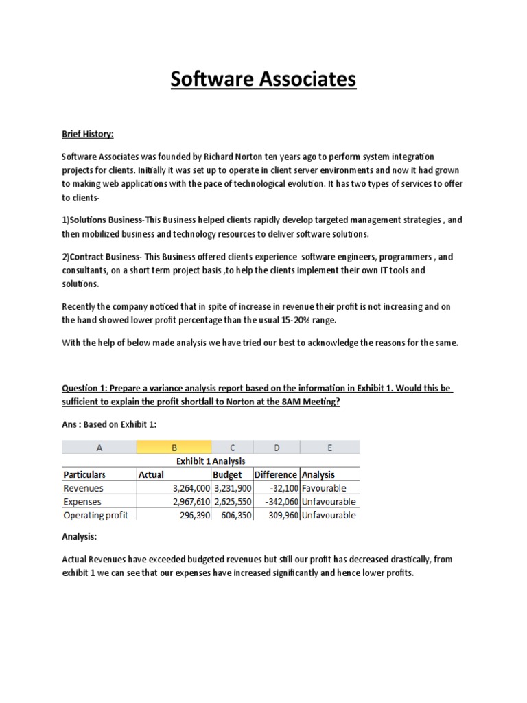 Software Associates Profit Analysis Report | PDF | Software | Budget
