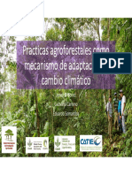 Practicas Agroforestales Como Mecanismo de Adaptación Al Cambio Climático