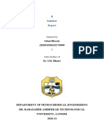 Seminar Report (PRN 10009)