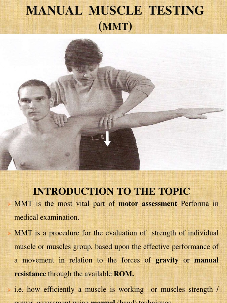 Manual Muscle Testing | PDF | Skeletal Muscle | Muscle Contraction