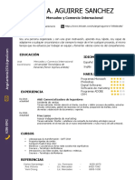 Curriculum Vitae Angel A. Aguirre