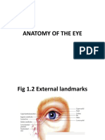Anatomy of The Eye