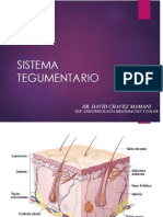 Sistema Tegumentario PDF