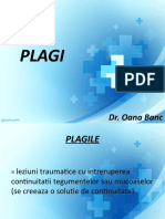 Plagi5 1