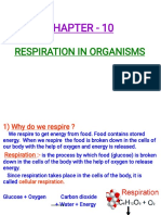 Chapter - 10: Respiration in Organisms
