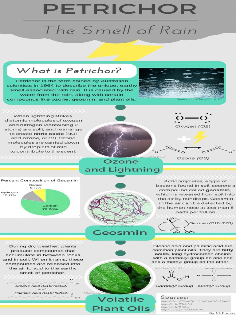 The Smell of Rain: What Is Petrichor? | PDF | Ozone | Soil