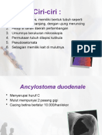 Ciri-ciri, Siklus Hidup dan Pencegahan Cacing Tambang Ancylostoma duodenale