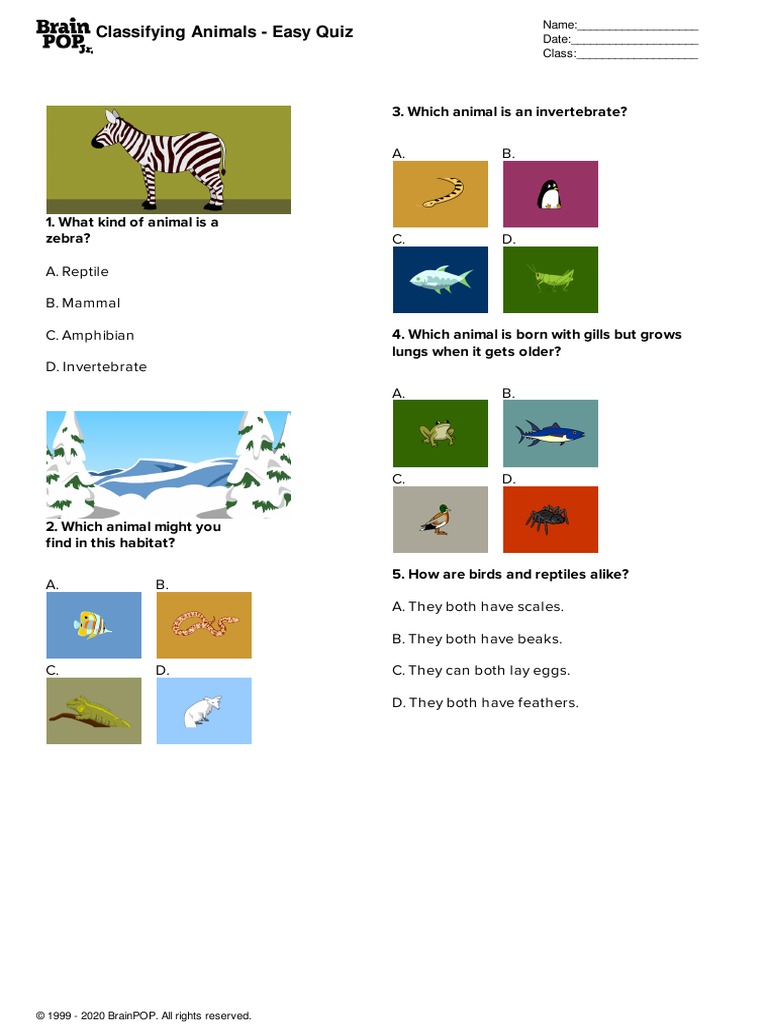 BrainPOP JR Classifying Animals Easy Quiz PDF