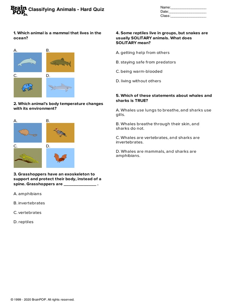 BrainPOP JR Classifying Animals Hard Quiz | PDF