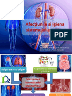 Bio-11-HancuValentina-Afecțiunile Și Igiena S Excretor - Refăcut