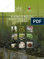 Manual Viverizacia Nativo 2009 - Chile