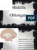 Medulla Oblongata: Danileico Inga Falca Mihaela