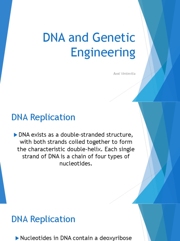 004 DNA Replication Enzymes PDF Dna Dna Replication