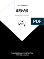 Curso Básico de Ervas