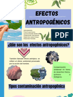 Exposición-Efectos Antropogénicos