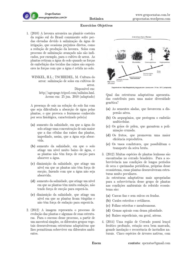 Botanica Enem | PDF | Plantas | Solo