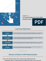 Pricing Strategies For Firms With Market Power