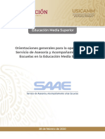 Orientaciones Generales Saae Ems 2020