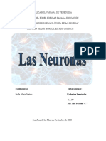 Cs. BIOLÓGICAS - I MOMENTO - 2do. Año - LAS NEURONAS