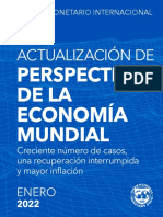 Informe FMI Enero 2022 Economia Mundial