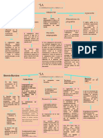 Mapa Conceptual