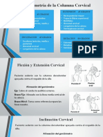 Goniometria Del Raquis Cervical