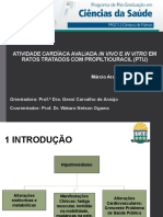 Apresentação Qualificação 2