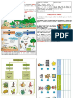 Factores Bióticos y Abióticos