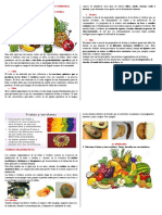 Cambios Organeléticos de Frutas y Verduras