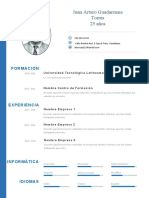 Plantilla Curriculum Vitae 8