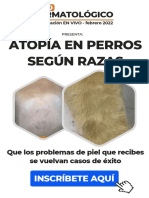 Atopía en Perros Según Razas