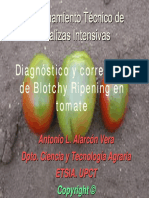 4.2 Virus Tomate