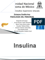 Fisiología del páncreas y la insulina