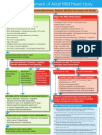 High Risk Mild Head Injury